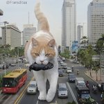 [댓글부탁해] 고3 5등급의 경찰<b>시험</b> 어떻게 생각해?