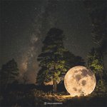 달을 사랑한 <b>예술가</b>