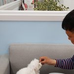 강아지가 먹으면 안되는 음식에 대해 알아보기!