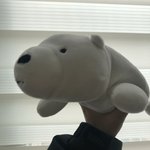 아이스베어 <b>필통</b>샀ㄷ ㅏ ㅠㅠㅡ