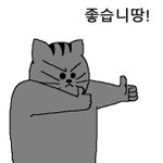 [추반] 내일 패딩 두개 <b>yes</b> or <b>yes</b> 추반뷰탁!