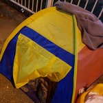 [댓글부탁해] <b>텐트</b>고앵이 근황 아시는분