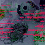 [NCT] 역시 <b>유이사</b>님 있었고