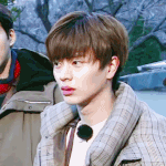 <b>관종</b>의 실체