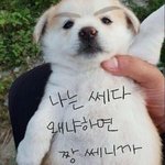 [드루와] 얘들아 같은 <b>무리</b>인 애랑 연 끊으려면 어떻게해
