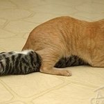 <b>알바자리</b>를 달라