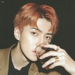 [세훈] <b>템포</b> 뉴 굿즈-엽서북 스캔본