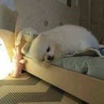 오늘 학원 그만둘껀데 어떻게 <b>말씀</b>드려??도와줘