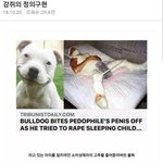 [댓글부탁해] <b>저번</b>에 톡선 올라갔었던