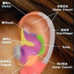 피어싱 총정리해줄게 궁금한사람들어와ㄱㄱㄱ