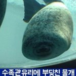 [댓글부탁해] <b>사각</b>턱 롤러ㅜㅜ