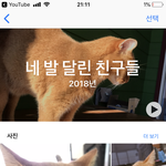 아이폰 사진 <b>분류</b> 제목 왜이렇게 귀여움 ㅋㅎㅋㅋㅋㅋㅋㅋ