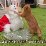 [드루와] 진짜 남자들 특징인지ㅋㅋ