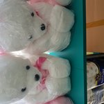 [꼭조언부탁] 여자친구에게 프로포즈하려고하는데 곰<b>인형</b> 여자분들 좋아하시나요?