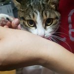 [댓글부탁해] <b>발톱</b> 깎는다냥!!!!!!