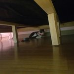 [댓글부탁해] 거앵이들 <b>침대밑</b>으로 숨엇는데 어케나오게함??