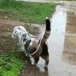 [댓글부탁해] 야동 배우나 할 것 같은 시선 처리를 힌단 말야