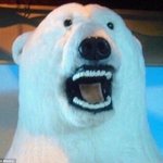 <b>아리아나</b> 그란데 키 153 실화임?