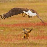 시험 11일 남았고 지금 상황