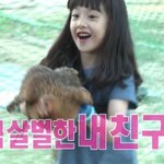 [댓글부탁해] <b>장래</b>희망 연예인인데 쌍수
