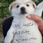 [드루와] 우리 사랑스러운 <b>절미</b>나 보자