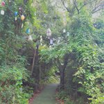 [댓글부탁해] 나 <b>제주</b>도 가서 찍은 사진인데