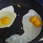 우리집 <b>계란</b> 쌍알만 나온다 ㅋㅋㅋ