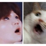 [방탄소년단] 일요일 라디오 리퀘!!(시트첨부재업)