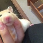 [드루와] 중2인데 영어 <b>본문</b>