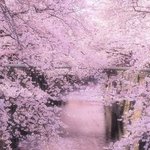 애들아 이 사진 알아?