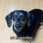 <b>제패</b>토,,,, 자기 닮게 하는거 아니엿냐
