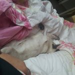 우리집 <b>고앵이</b>좀봐라.....참나