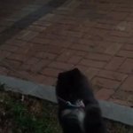 [방탄소년단] 아빠닮아서 공격력 0인 <b>연탄</b>이;;;