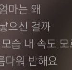 [19] <b>탐폰</b>끼고