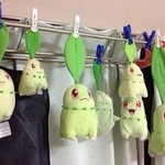 치코리타 <b>목욕</b> 시즌