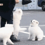 [드루와] 너네 솔직히 <b>페미니즘</b> 어때