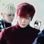 어<b>제자</b> 갓지컬 강다니엘