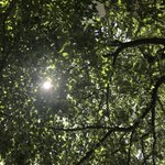 [19] 나 <b>E</b><b>컵</b>인데 별로 안커...