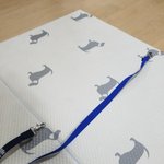 부산펫페어 강아지 <b>리드줄</b> 치퐁샵(하네스 <b>리드줄</b>) 꼭 읽어보세요 ㅡㅡ