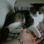 민지야 <b>만나자</b>우리