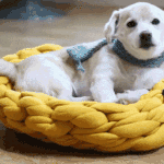 [모두드루와] 오늘 하루 영상 <b>절미</b>.gif