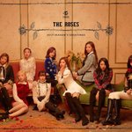 트와이스 이번 시그 봐봐