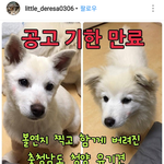 [드루와] 얘들아 얘네 안락사된대...