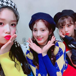 [모두드루와] 프듀48 김도아 유닛 플레이버