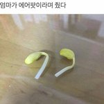 [댓글부탁해] 집 마다 나는 냄새