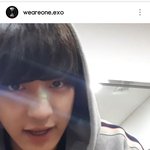 [EXO] 공계 차뇨리 영상