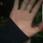 [댓글부탁해] <b>홍원</b>이 손바닥 ㅜㅜㅜㅜㅜ미친