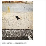 [드루와] <b>산책</b>하다 냥줍한 사건