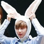 황민현 옹성우 <b>정반대</b>의 취향