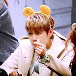 [박우진] 주목<b>공포증</b> 있는 우진이ㅠ 악 박우진 ㅠ
